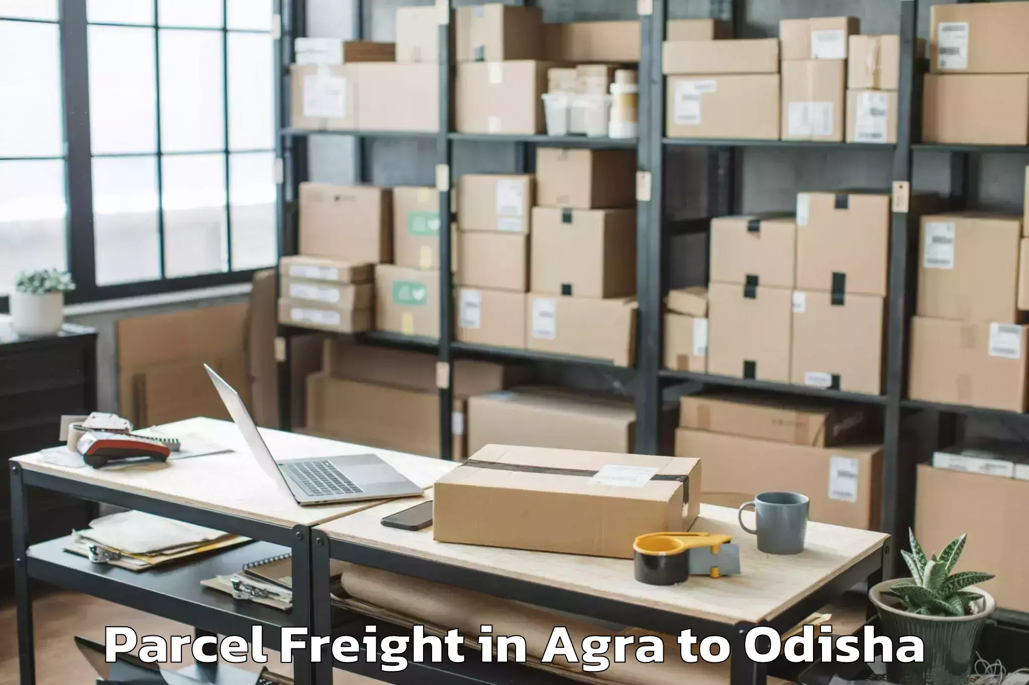 Reliable Agra to Raghunathapali Parcel Freight